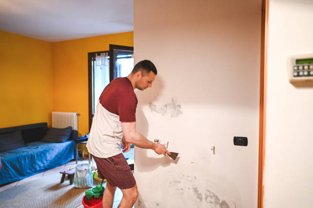 Best Emergency Mold Removal  in Powhatan Point, OH